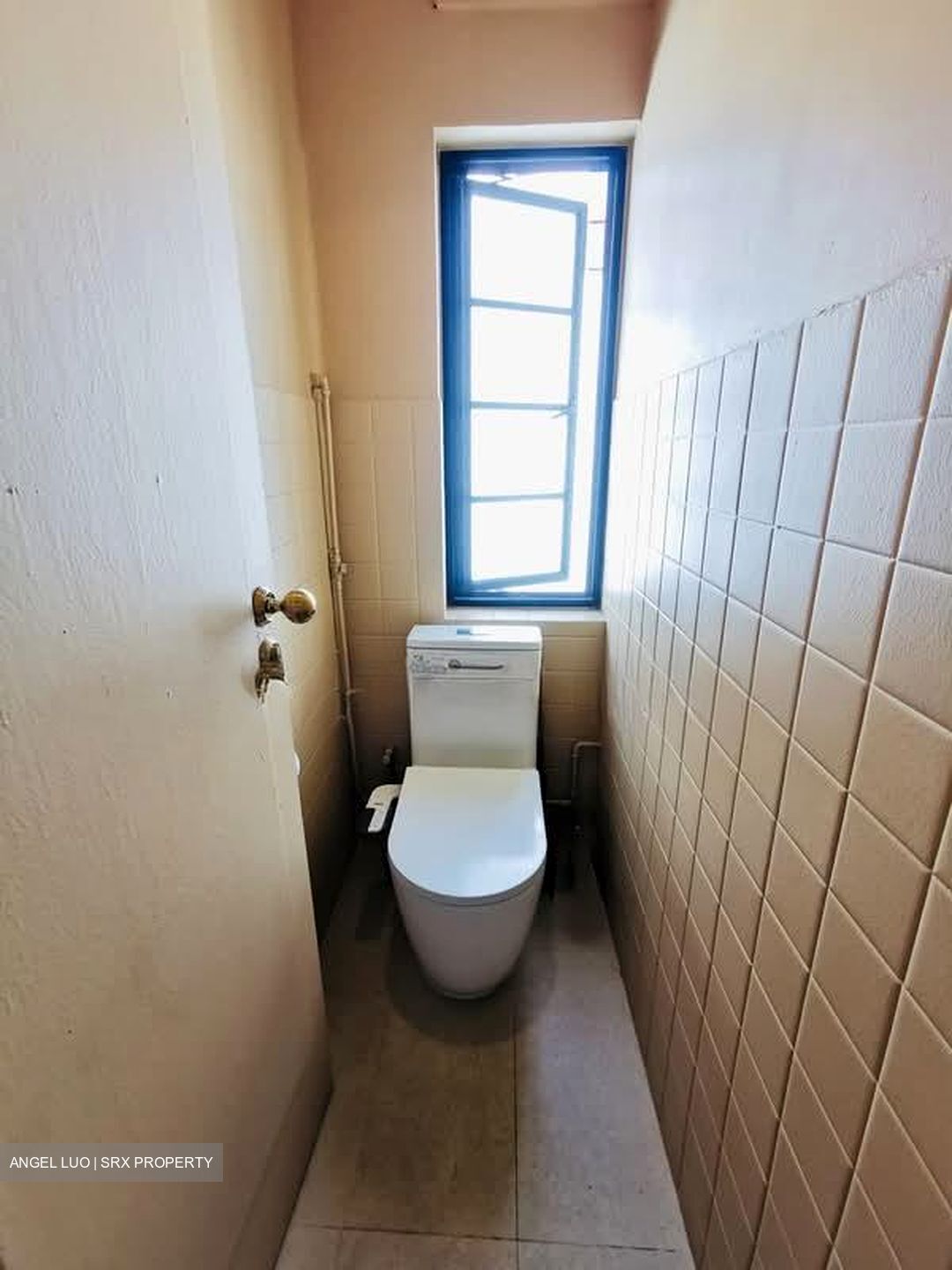 Blk 57 Tiong Bahru Estate (Bukit Merah), HDB 4 Rooms #585616571